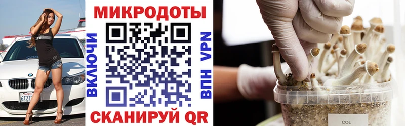 закладка  blacksprut как зайти  Псилоцибиновые грибы прущие грибы  Пустошка 
